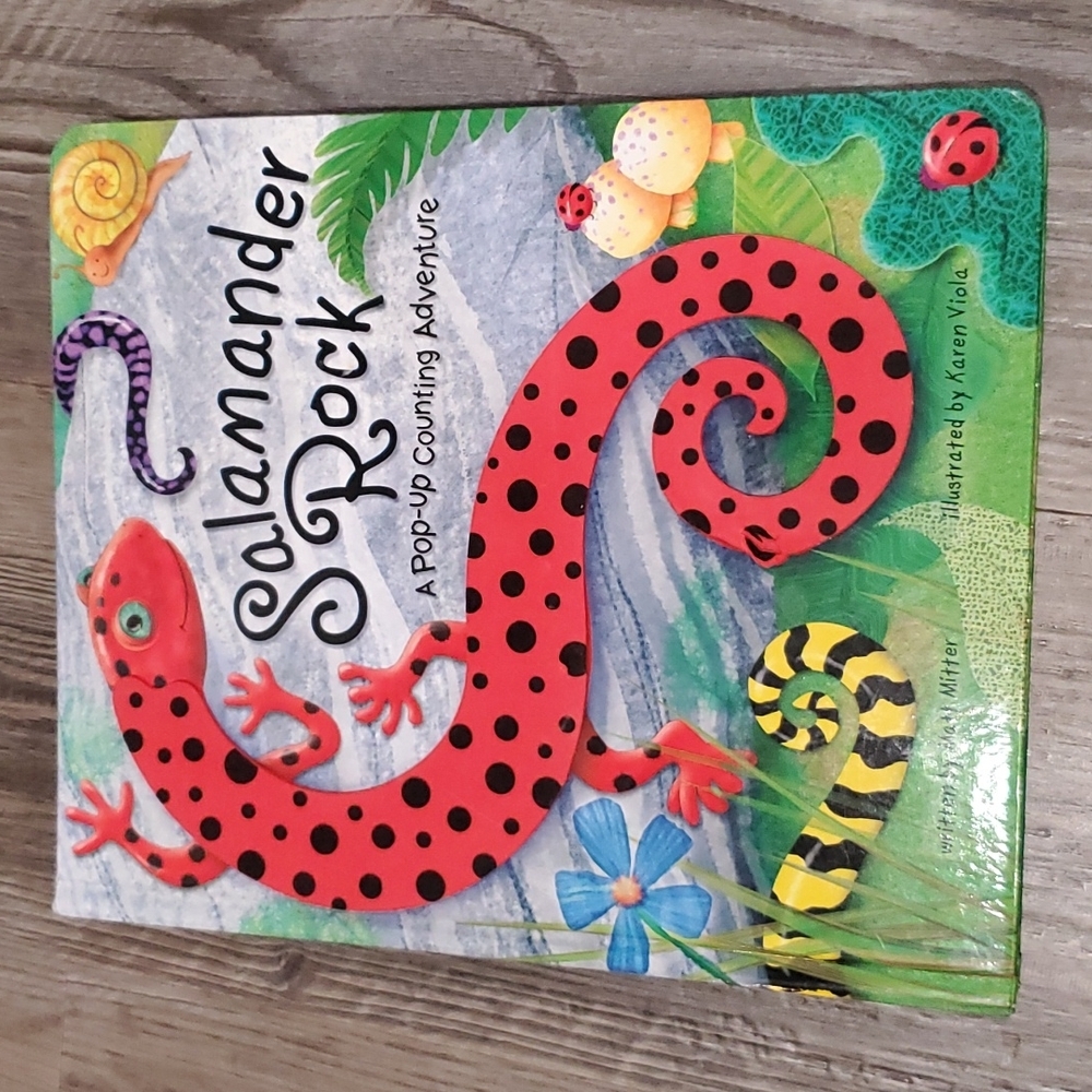 Salamander Rock A Pop-Up Counting Adventure by Matt Mitter